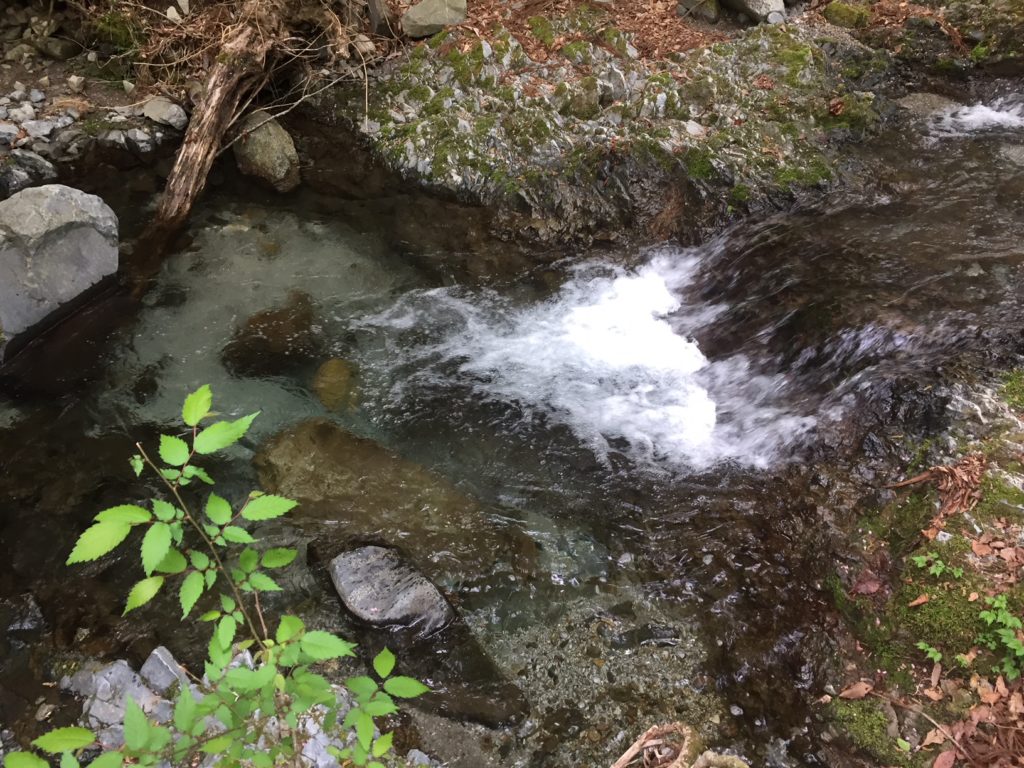 water