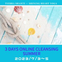 SUMMER 3days online Cleanse